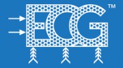 Engineering Consultants Group