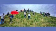 Environmental Design Group
