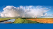 Natural Resources Consulting