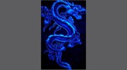 C-Schror Design Service