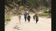 Society of Afghan Engineers