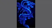 C-Schror Design Service